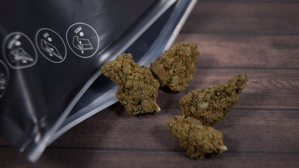 Why More Veterans Turn to Cannabis and Motorcycles for Relief